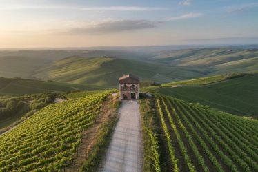 Le sentieri panoramici del Roero: tra natura, storia e vini pregiati