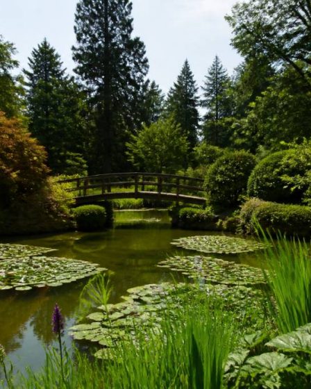 Alla scoperta dei giardini botanici del Piemonte: itinerari tra natura, storia e colori stagionali