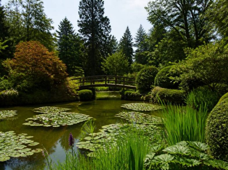 Alla scoperta dei giardini botanici del Piemonte: itinerari tra natura, storia e colori stagionali