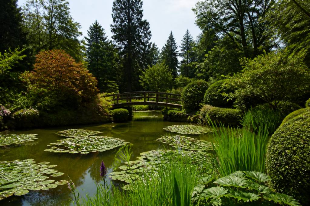 Alla scoperta dei giardini botanici del Piemonte: itinerari tra natura, storia e colori stagionali