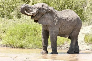 Viaggio in Tanzania: i parchi più belli da scoprire