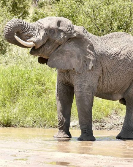Viaggio in Tanzania: i parchi più belli da scoprire