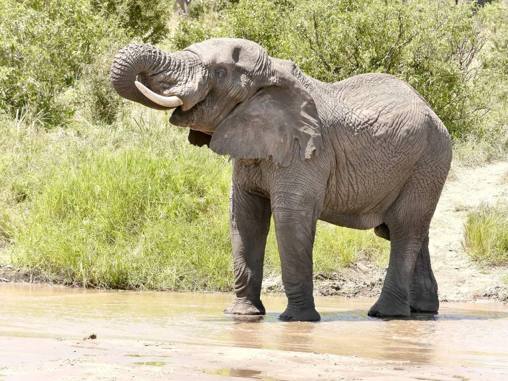 Viaggio in Tanzania: i parchi più belli da scoprire